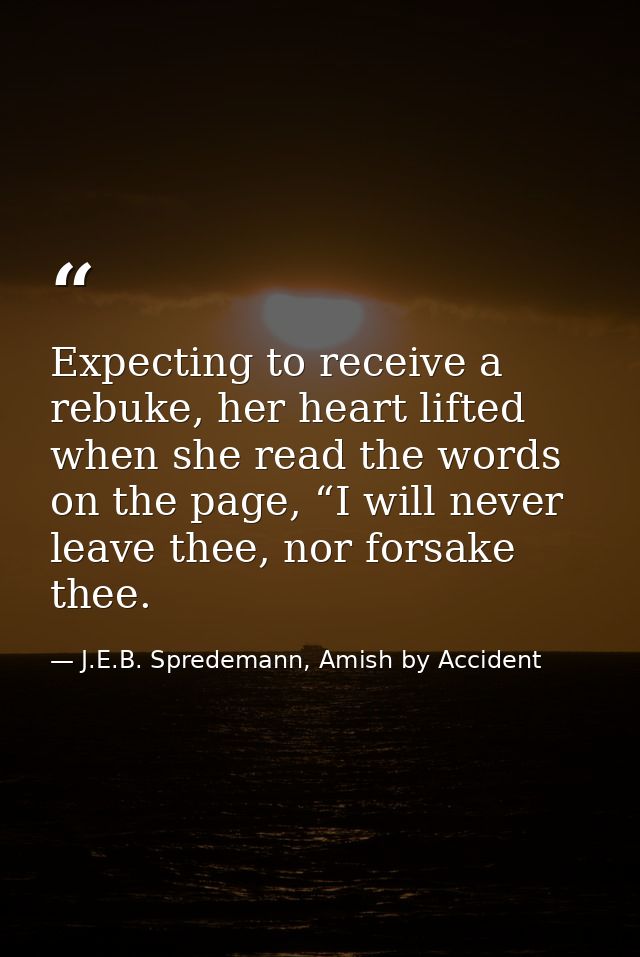 Expecting to receive a rebuke, her heart lifted when she read the words on the page, “I will never leave thee, nor forsa — J.E.B. Spredemann, Amish by Accident
