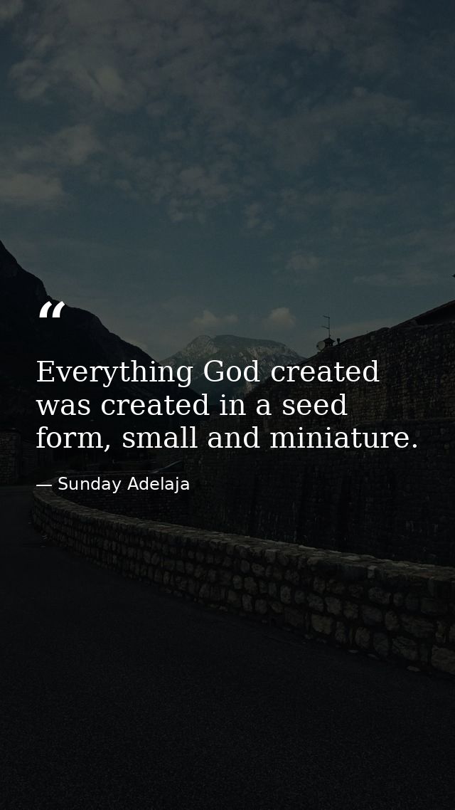 Everything God created was created in a seed form, small and miniature. — Sunday Adelaja