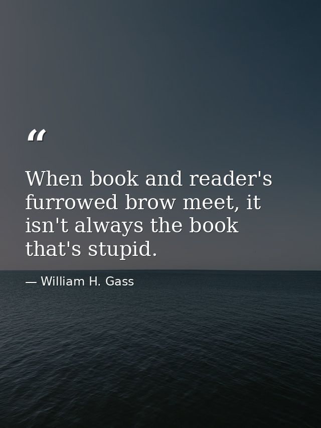 When book and reader's furrowed brow meet, it isn't always the book that's stupid. — William H. Gass