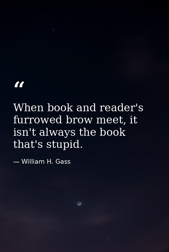When book and reader's furrowed brow meet, it isn't always the book that's stupid. — William H. Gass