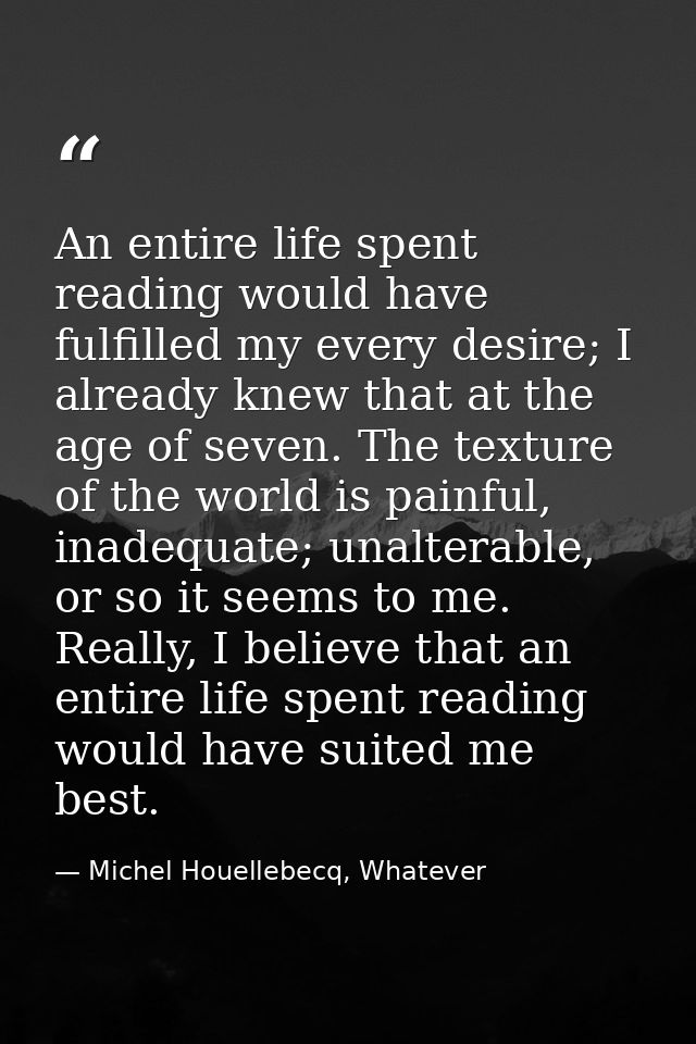 An entire life spent reading would have fulfilled my every desire; I already knew that at the age of seven. The texture  — Michel Houellebecq, Whatever