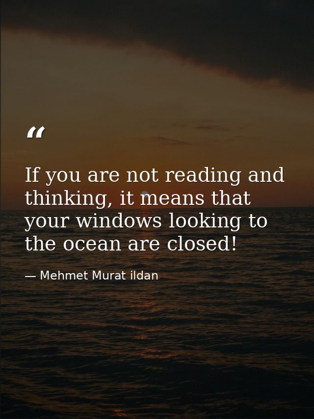 If you are not reading and thinking, it means that your windows looking to the ocean are closed! — Mehmet Murat ildan