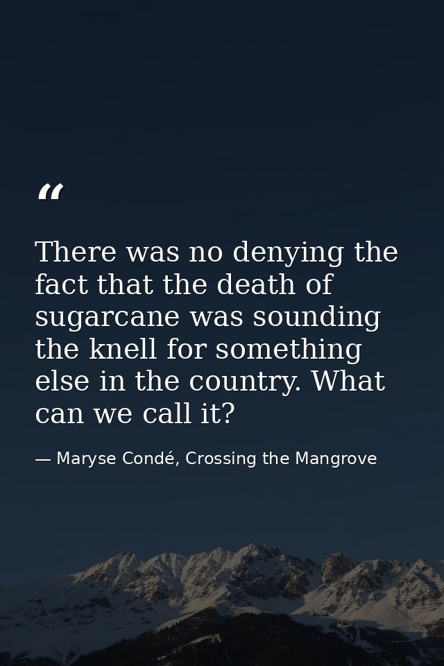 There was no denying the fact that the death of sugarcane was sounding the knell for something else in the country. What — Maryse Condé, Crossing the Mangrove