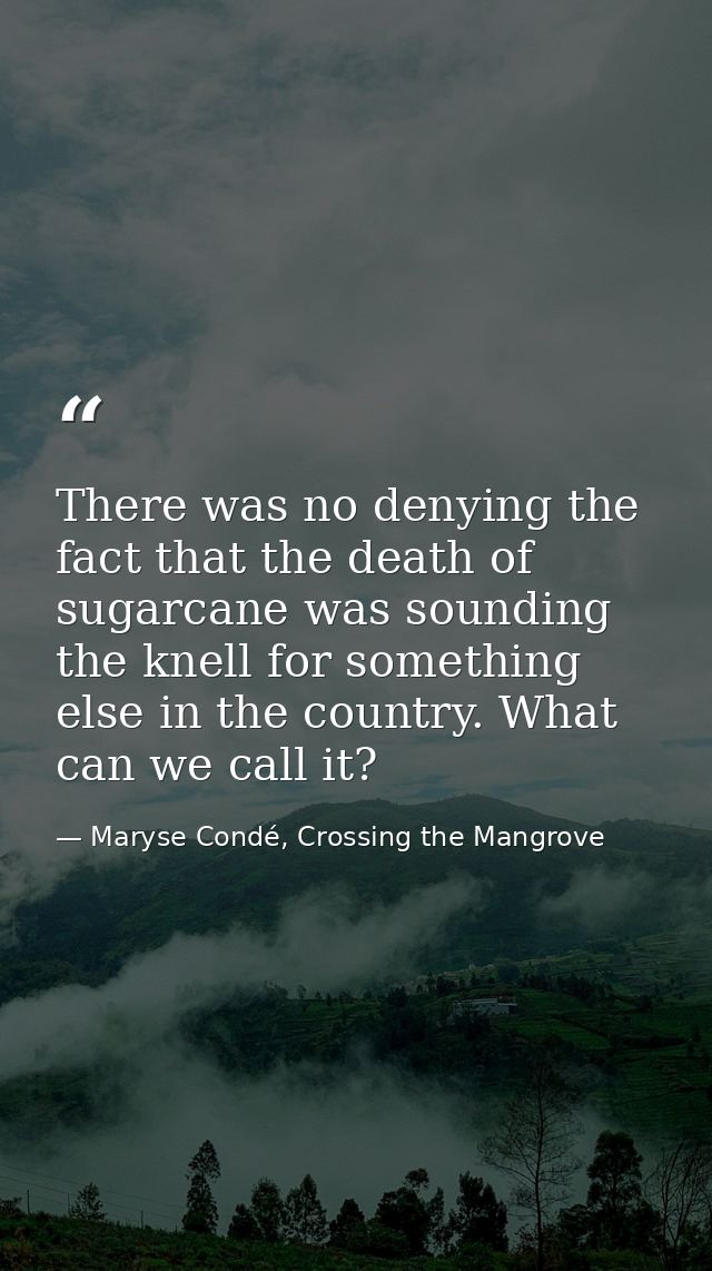 There was no denying the fact that the death of sugarcane was sounding the knell for something else in the country. What — Maryse Condé, Crossing the Mangrove