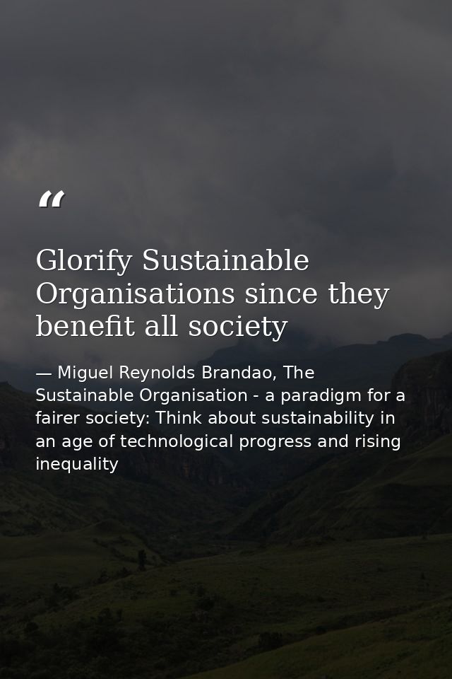 Glorify Sustainable Organisations since they benefit all society — Miguel Reynolds Brandao, The Sustainable Organisation - a paradigm for a fairer society: Think about sustainability in an age of technological progress and rising inequality