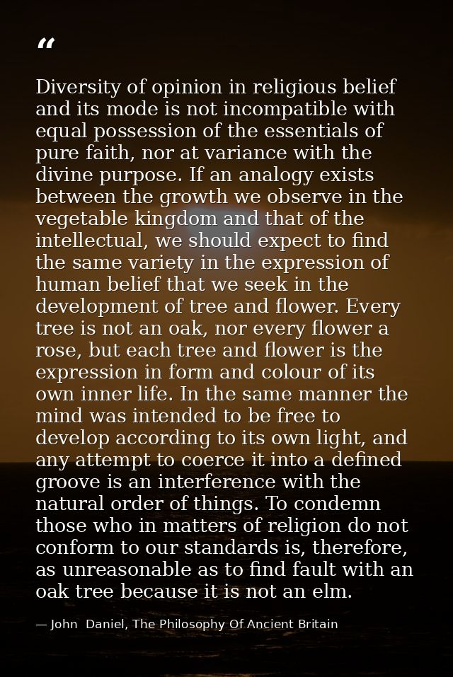 Diversity of opinion in religious belief and its mode is not incompatible with equal possession of the essentials of pur — John  Daniel, The Philosophy Of Ancient Britain