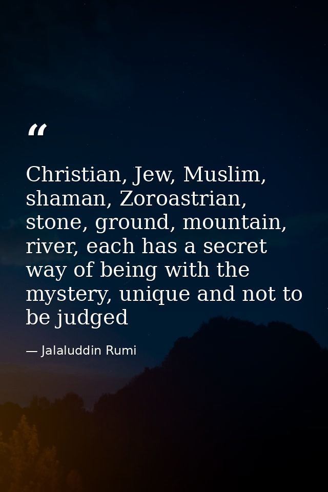 Christian, Jew, Muslim, shaman, Zoroastrian, stone, ground, mountain, river, each has a secret way of being with the mys — Jalaluddin Rumi