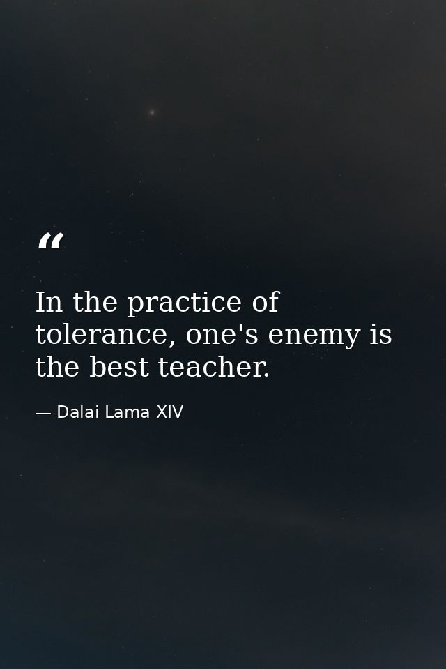 In the practice of tolerance, one's enemy is the best teacher. — Dalai Lama XIV