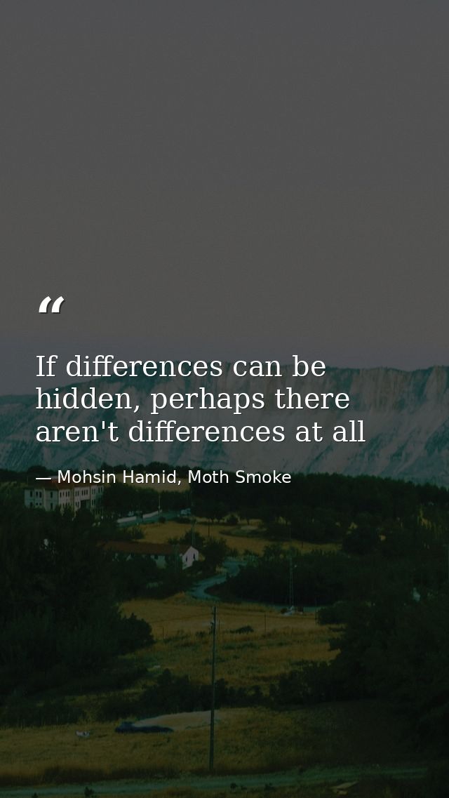 If differences can be hidden, perhaps there aren't differences at all — Mohsin Hamid, Moth Smoke