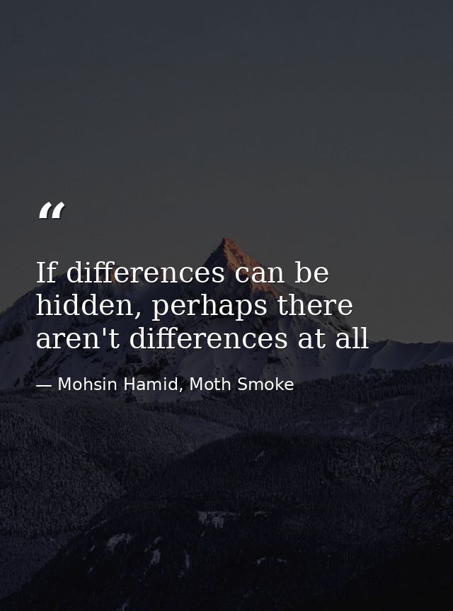 If differences can be hidden, perhaps there aren't differences at all — Mohsin Hamid, Moth Smoke