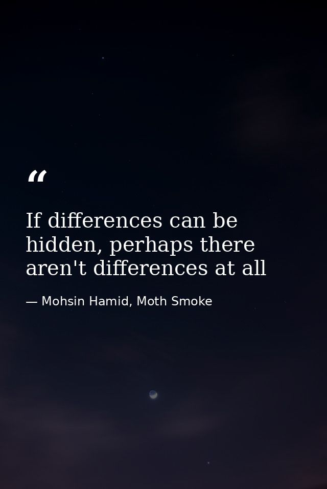 If differences can be hidden, perhaps there aren't differences at all — Mohsin Hamid, Moth Smoke