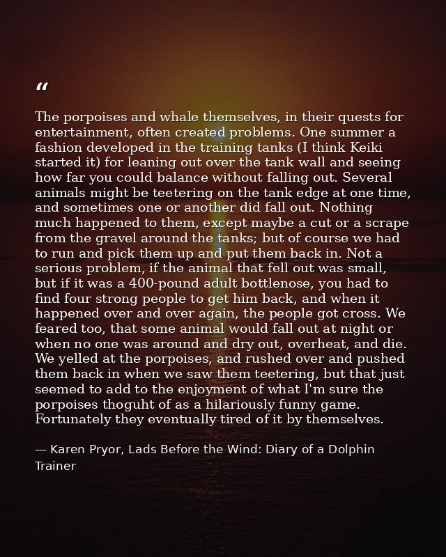 The porpoises and whale themselves, in their quests for entertainment, often created problems. One summer a fashion deve — Karen Pryor, Lads Before the Wind: Diary of a Dolphin Trainer