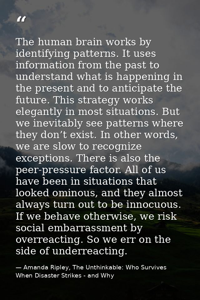 The human brain works by identifying patterns. It uses information from the past to understand what is happening in the  — Amanda Ripley, The Unthinkable: Who Survives When Disaster Strikes - and Why