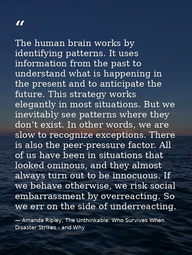 The human brain works by identifying patterns. It uses information from the past to understand what is happening in the  — Amanda Ripley, The Unthinkable: Who Survives When Disaster Strikes - and Why