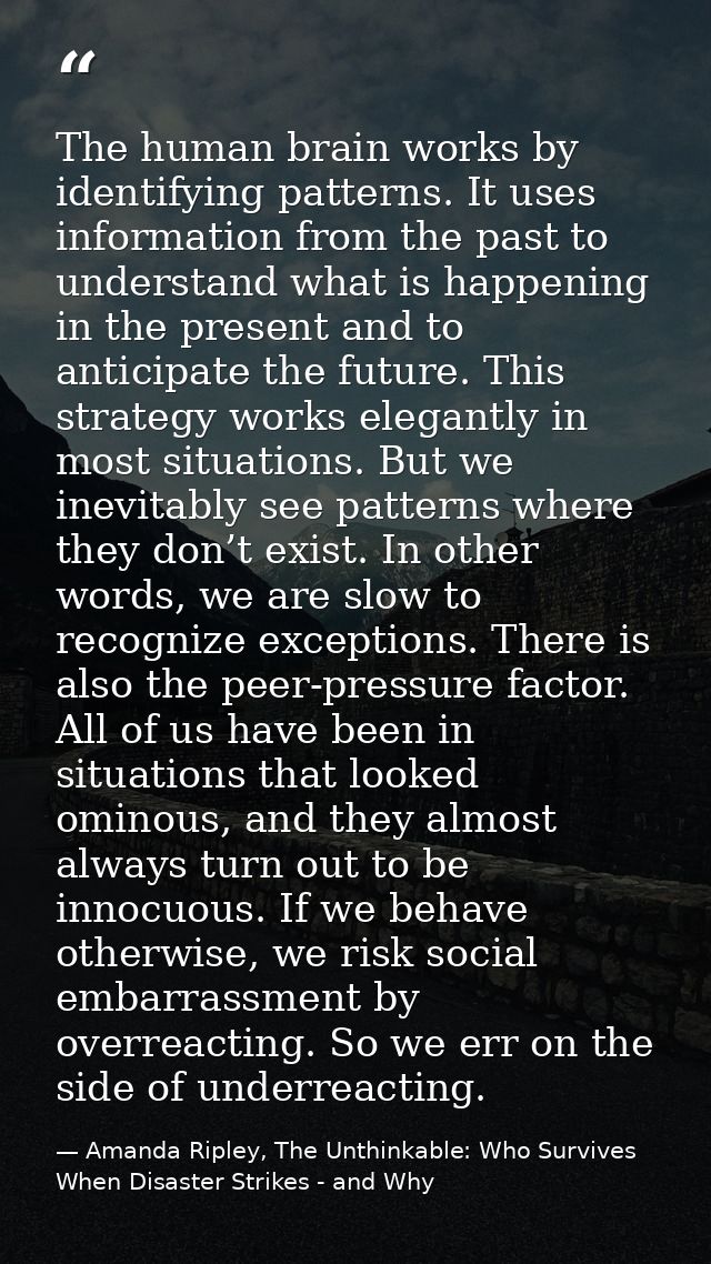 The human brain works by identifying patterns. It uses information from the past to understand what is happening in the  — Amanda Ripley, The Unthinkable: Who Survives When Disaster Strikes - and Why
