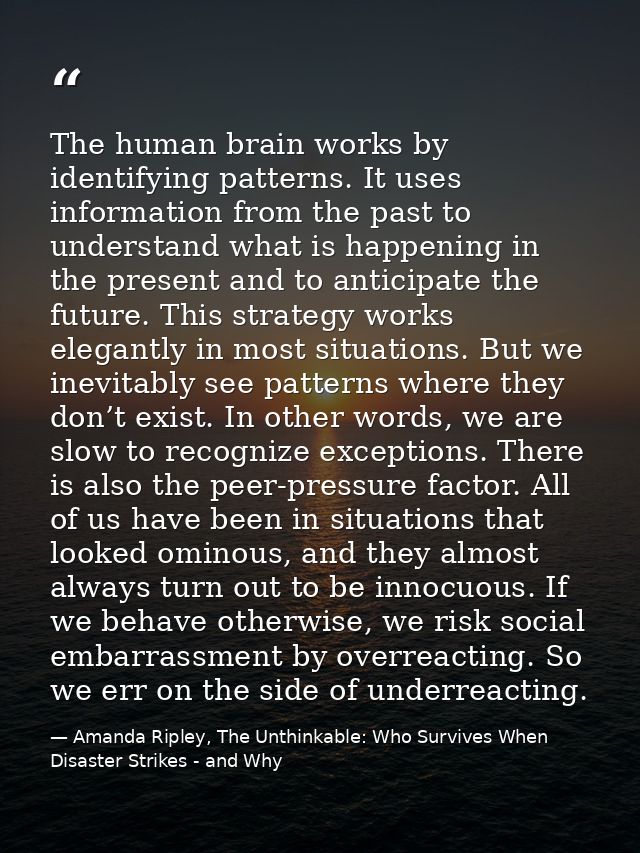 The human brain works by identifying patterns. It uses information from the past to understand what is happening in the  — Amanda Ripley, The Unthinkable: Who Survives When Disaster Strikes - and Why