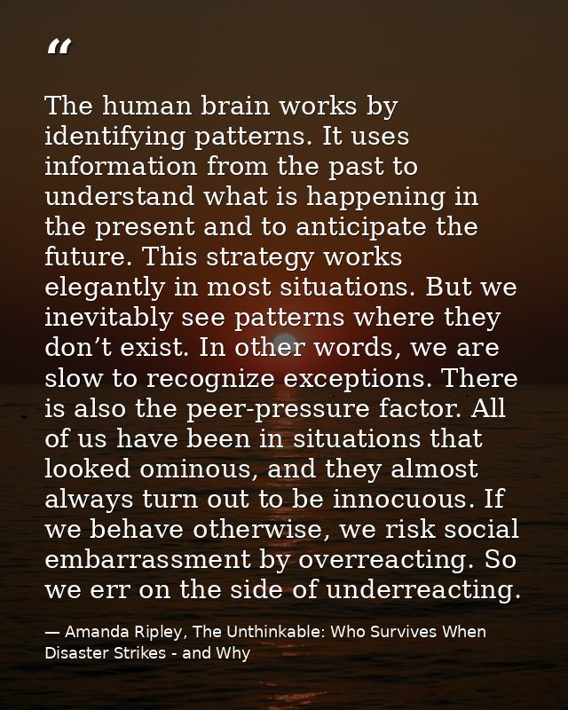 The human brain works by identifying patterns. It uses information from the past to understand what is happening in the  — Amanda Ripley, The Unthinkable: Who Survives When Disaster Strikes - and Why