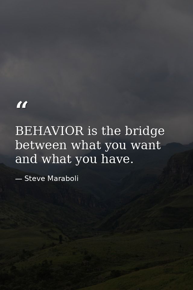 BEHAVIOR is the bridge between what you want and what you have. — Steve Maraboli