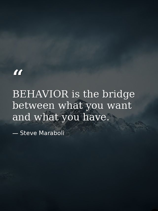 BEHAVIOR is the bridge between what you want and what you have. — Steve Maraboli