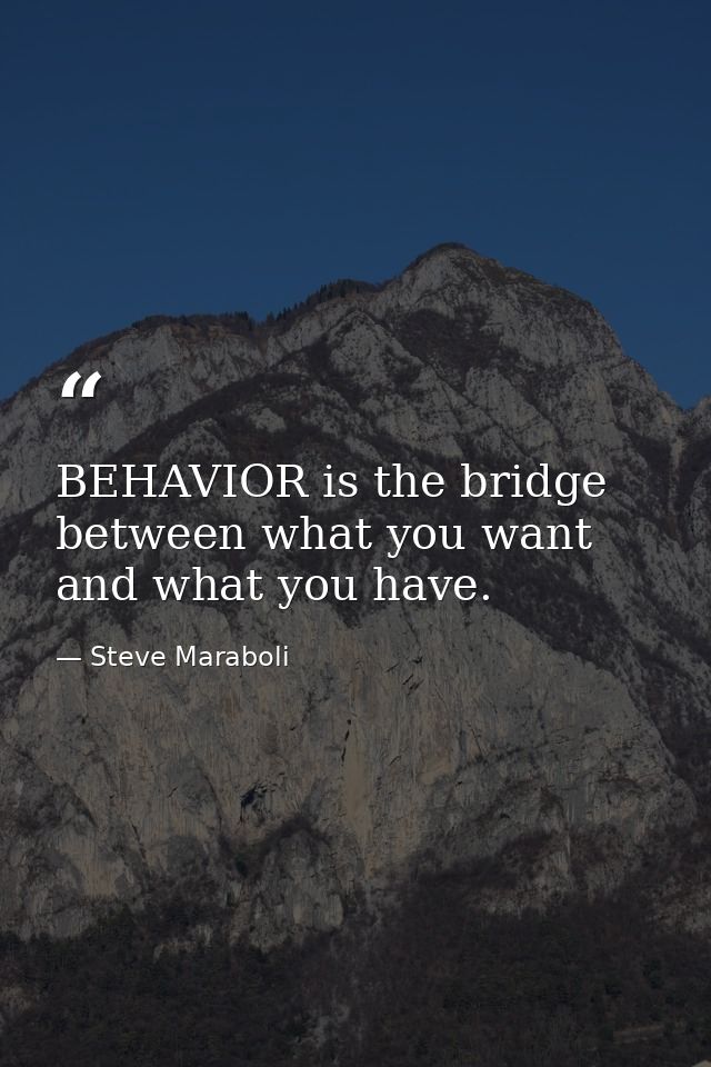BEHAVIOR is the bridge between what you want and what you have. — Steve Maraboli