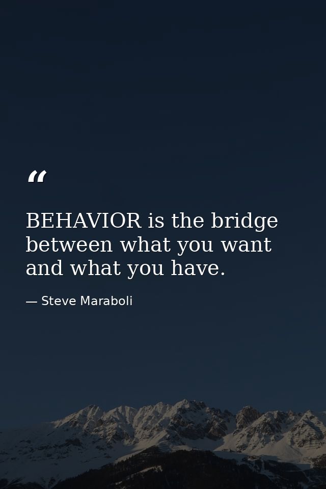 BEHAVIOR is the bridge between what you want and what you have. — Steve Maraboli