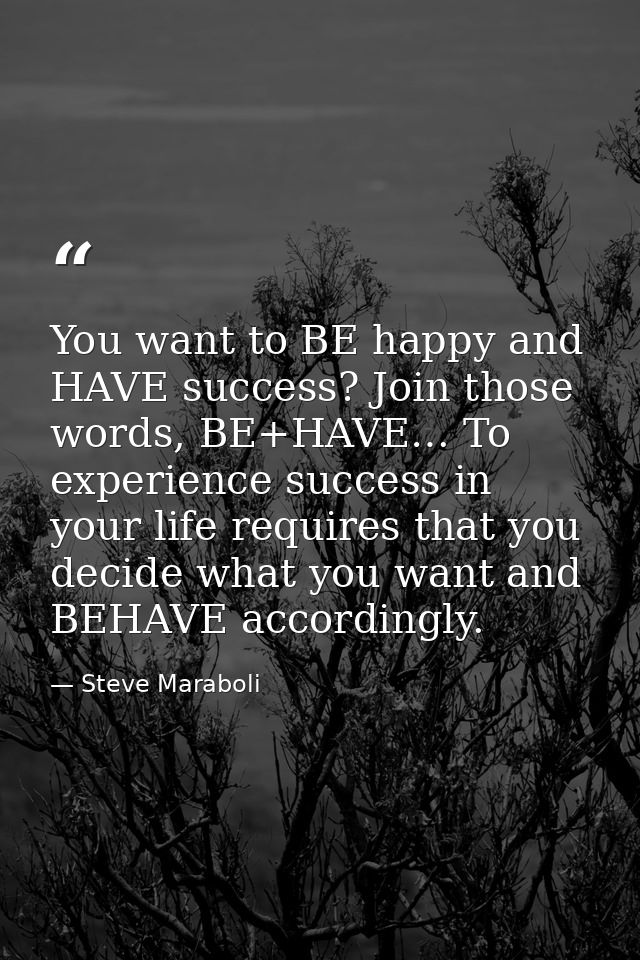 You want to BE happy and HAVE success? Join those words, BE+HAVE… To experience success in your life requires that you d — Steve Maraboli