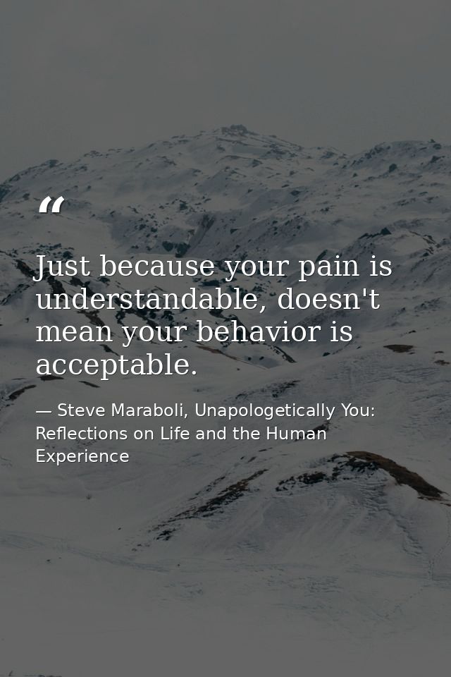 Just because your pain is understandable, doesn't mean your behavior is acceptable. — Steve Maraboli, Unapologetically You: Reflections on Life and the Human Experience