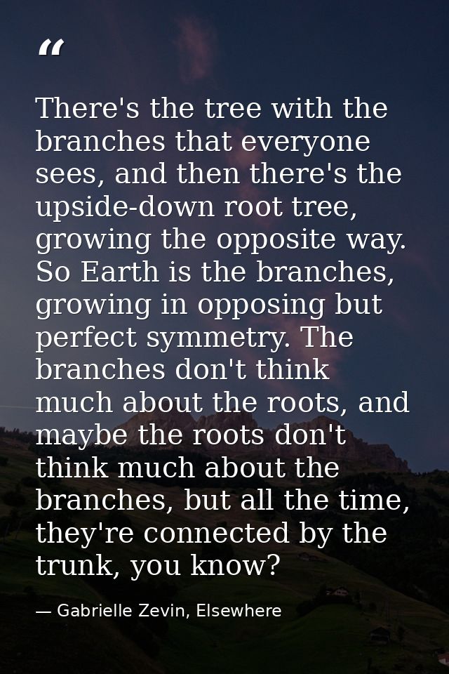 There's the tree with the branches that everyone sees, and then there's the upside-down root tree, growing the opposite  — Gabrielle Zevin, Elsewhere