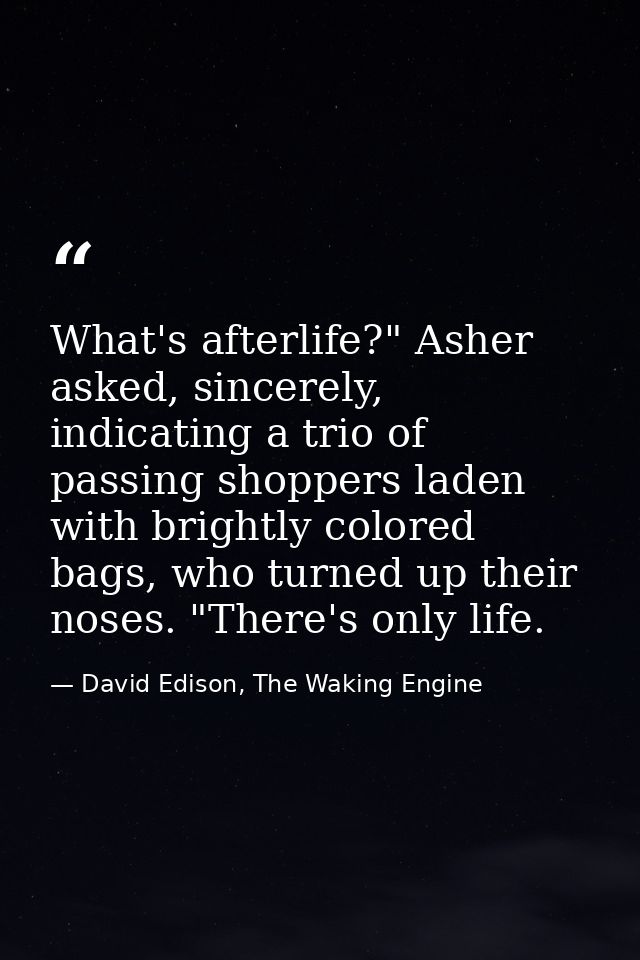 What's afterlife?" Asher asked, sincerely, indicating a trio of passing shoppers laden with brightly colored bags, who t — David Edison, The Waking Engine