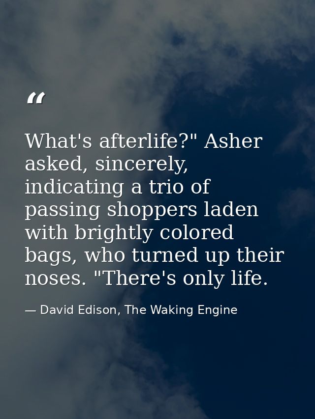 What's afterlife?" Asher asked, sincerely, indicating a trio of passing shoppers laden with brightly colored bags, who t — David Edison, The Waking Engine
