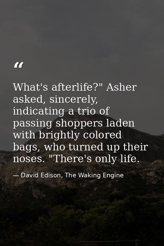 What's afterlife?" Asher asked, sincerely, indicating a trio of passing shoppers laden with brightly colored bags, who t — David Edison, The Waking Engine