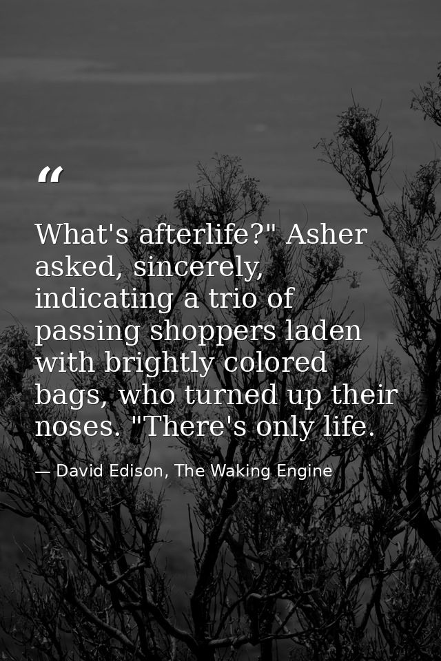 What's afterlife?" Asher asked, sincerely, indicating a trio of passing shoppers laden with brightly colored bags, who t — David Edison, The Waking Engine