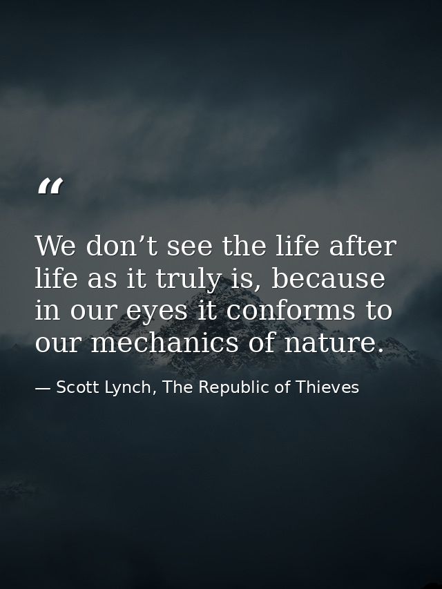 We don’t see the life after life as it truly is, because in our eyes it conforms to our mechanics of nature. — Scott Lynch, The Republic of Thieves