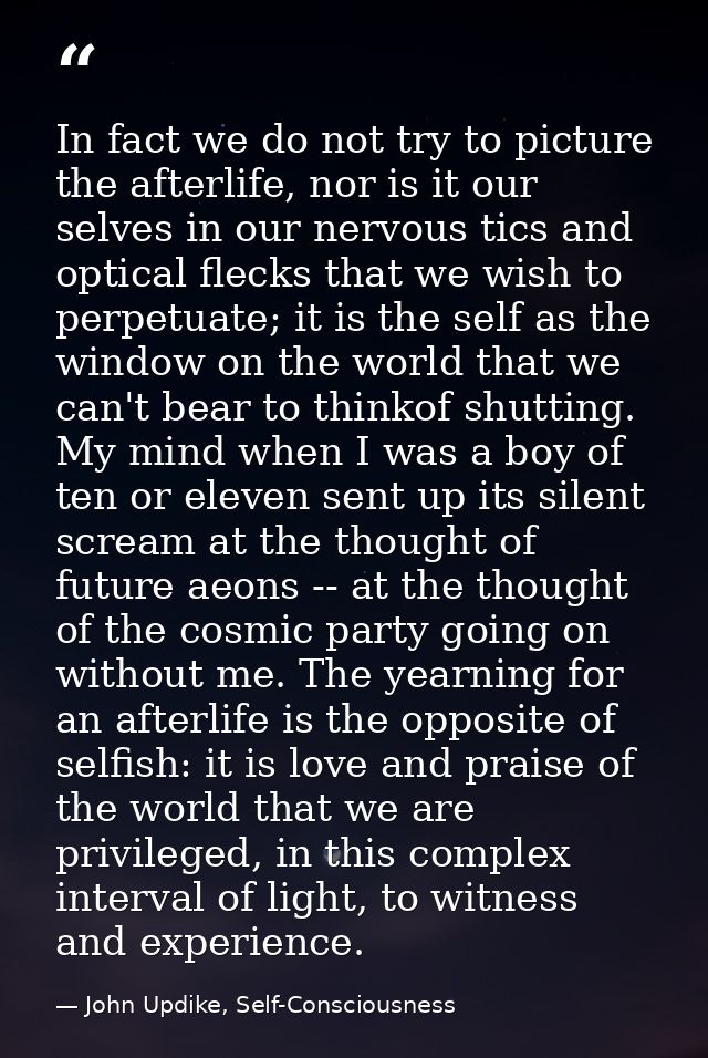 In fact we do not try to picture the afterlife, nor is it our selves in our nervous tics and optical flecks that we wish — John Updike, Self-Consciousness