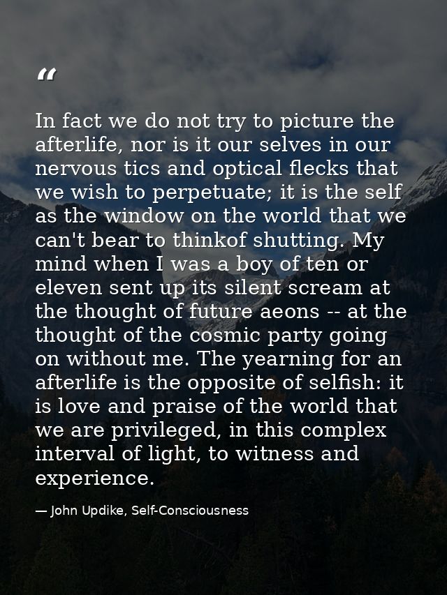 In fact we do not try to picture the afterlife, nor is it our selves in our nervous tics and optical flecks that we wish — John Updike, Self-Consciousness