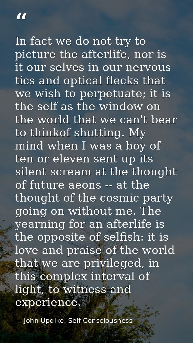 In fact we do not try to picture the afterlife, nor is it our selves in our nervous tics and optical flecks that we wish — John Updike, Self-Consciousness