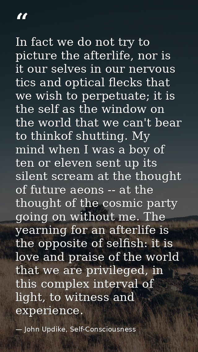 In fact we do not try to picture the afterlife, nor is it our selves in our nervous tics and optical flecks that we wish — John Updike, Self-Consciousness