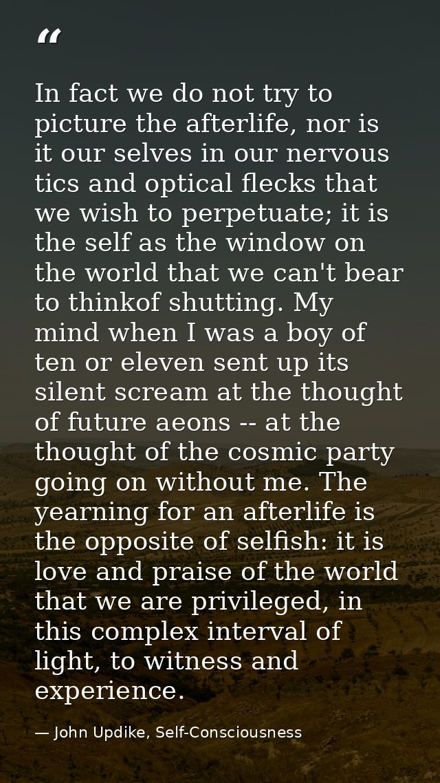 In fact we do not try to picture the afterlife, nor is it our selves in our nervous tics and optical flecks that we wish — John Updike, Self-Consciousness