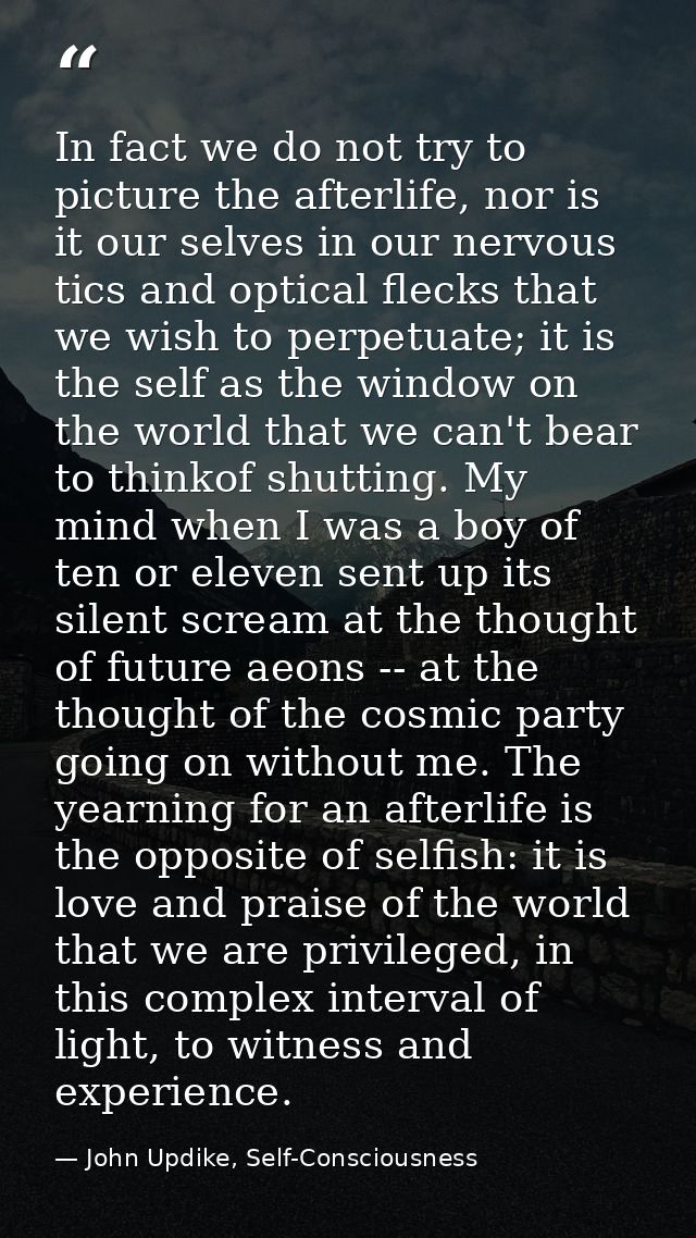 In fact we do not try to picture the afterlife, nor is it our selves in our nervous tics and optical flecks that we wish — John Updike, Self-Consciousness