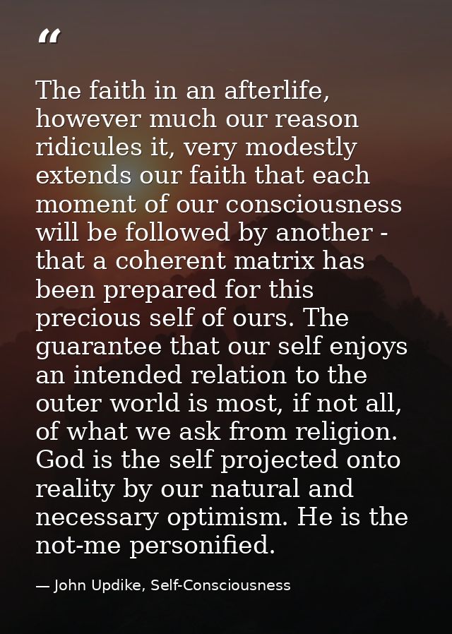 The faith in an afterlife, however much our reason ridicules it, very modestly extends our faith that each moment of our — John Updike, Self-Consciousness