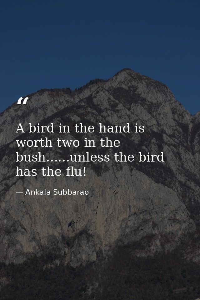 A bird in the hand is worth two in the bush......unless the bird has the flu! — Ankala Subbarao