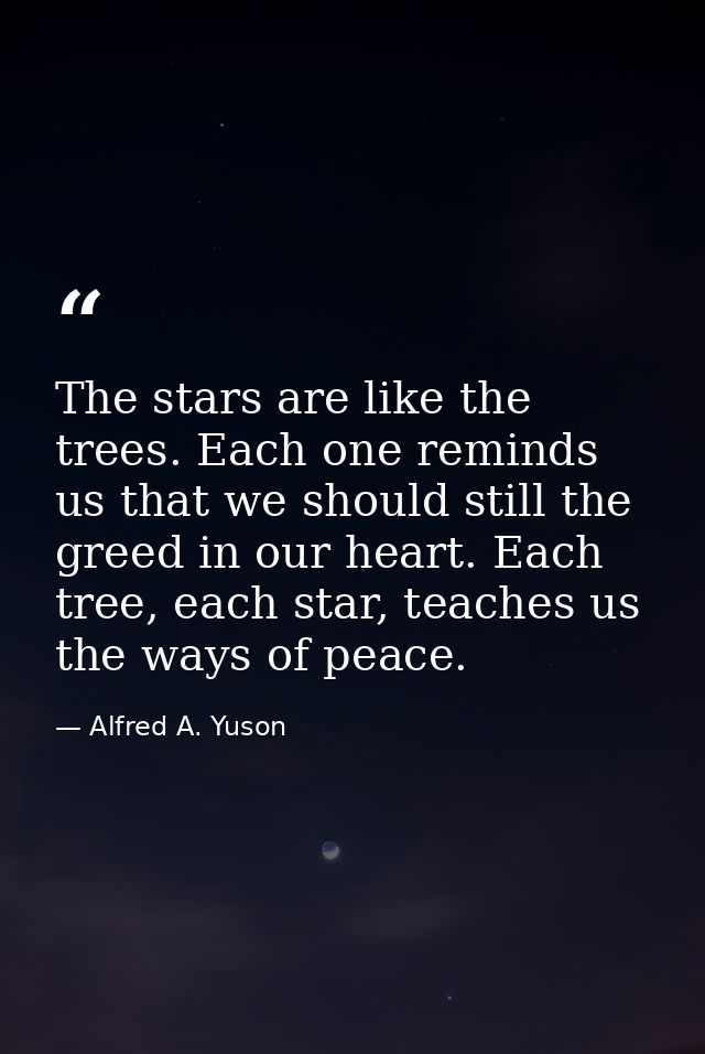 ‎The stars are like the trees. Each one reminds us that we should still the greed in our heart. Each tree, each star, te — Alfred A. Yuson
