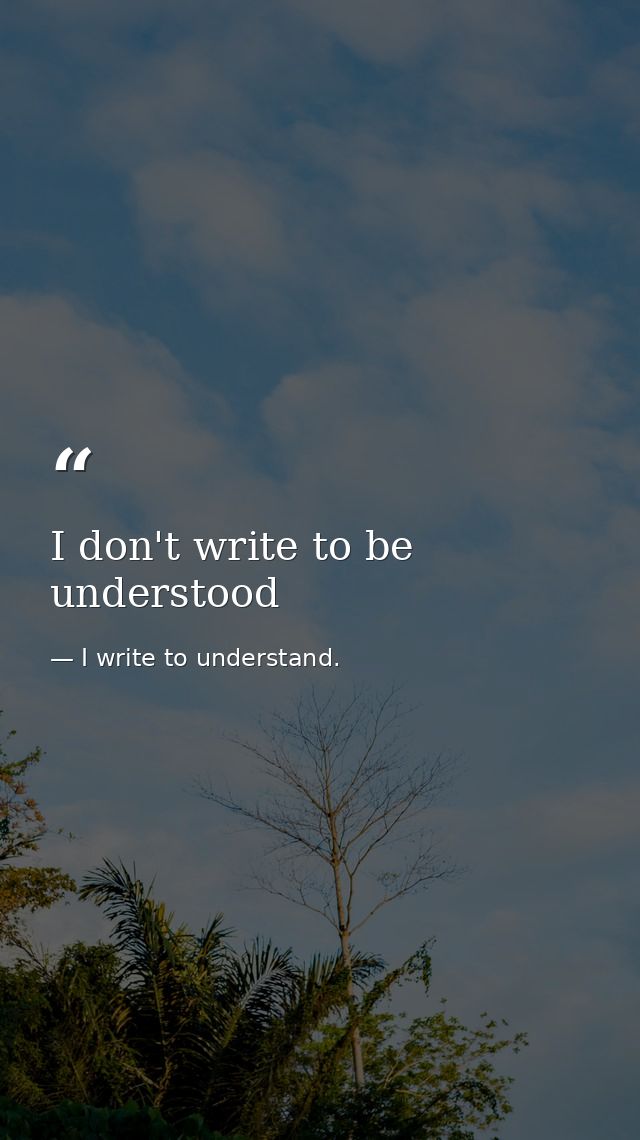 I don't write to be understood — I write to understand.