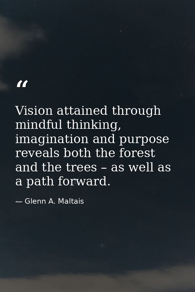 Vision attained through mindful thinking, imagination and purpose reveals both the forest and the trees – as well as a p — Glenn A. Maltais