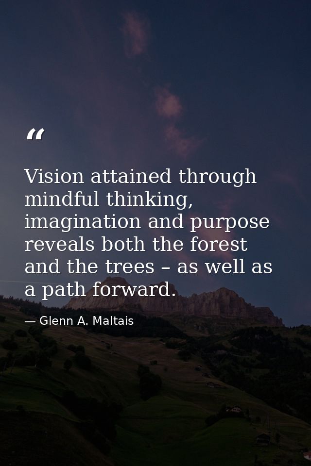 Vision attained through mindful thinking, imagination and purpose reveals both the forest and the trees – as well as a p — Glenn A. Maltais