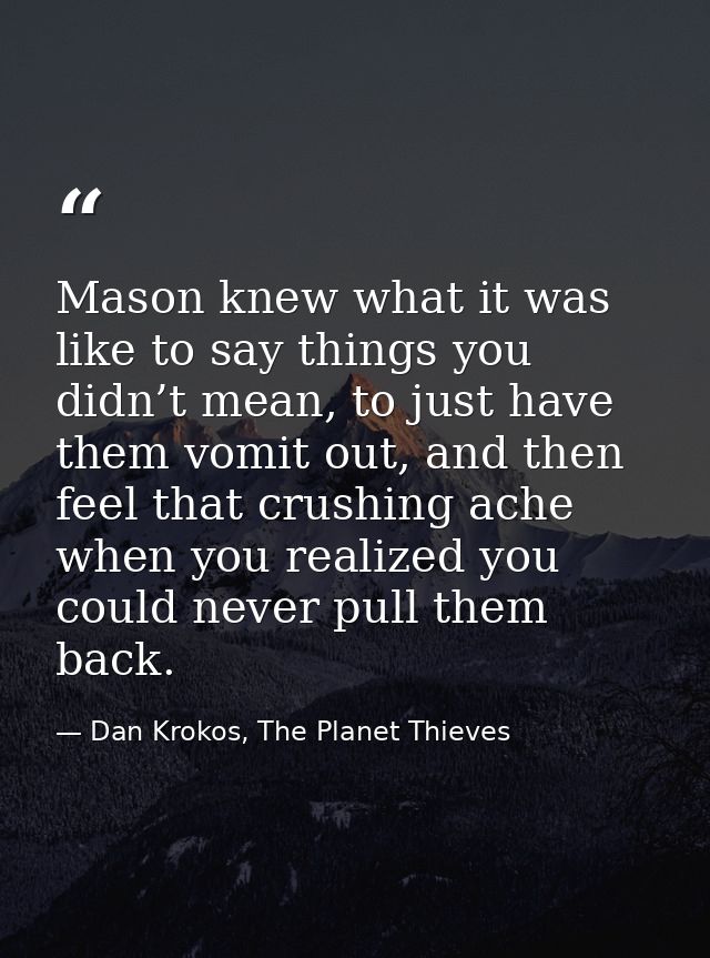 Mason knew what it was like to say things you didn’t mean, to just have them vomit out, and then feel that crushing ache — Dan Krokos, The Planet Thieves