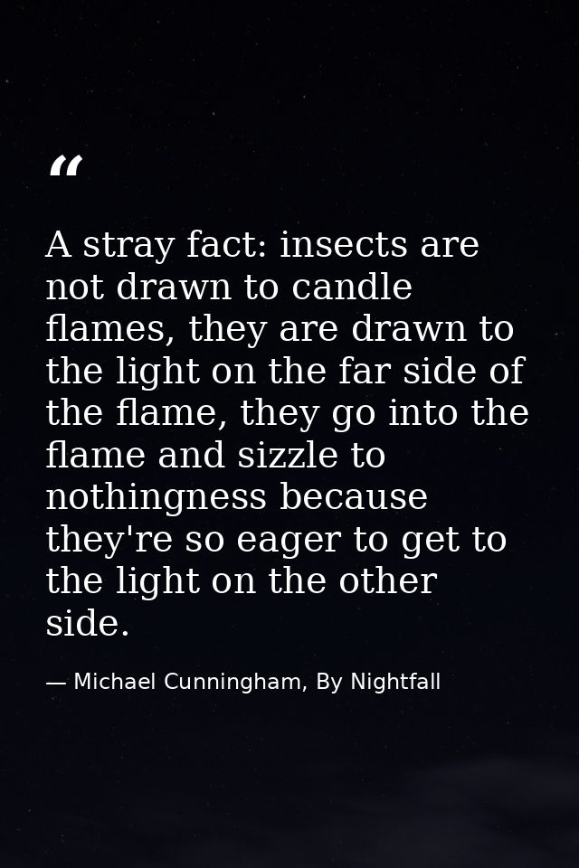 A stray fact: insects are not drawn to candle flames, they are drawn to the light on the far side of the flame, they go  — Michael Cunningham, By Nightfall