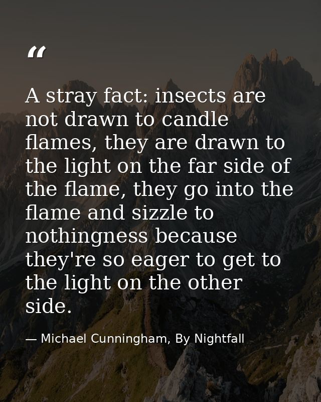 A stray fact: insects are not drawn to candle flames, they are drawn to the light on the far side of the flame, they go  — Michael Cunningham, By Nightfall