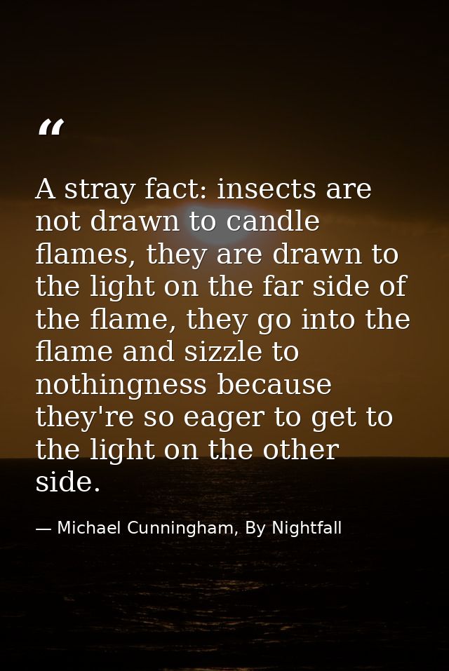 A stray fact: insects are not drawn to candle flames, they are drawn to the light on the far side of the flame, they go  — Michael Cunningham, By Nightfall