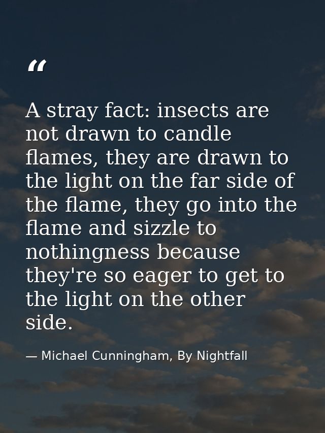 A stray fact: insects are not drawn to candle flames, they are drawn to the light on the far side of the flame, they go  — Michael Cunningham, By Nightfall